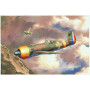 IAR-80 roumain - 1/48 - HOBBY BOSS 81757