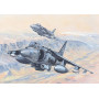 AV-8B Harrier II - 1/18 - HOBBY BOSS 81804