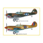 P-40E Kitty Hawk Fighter - 1/48 - HOBBY BOSS 85801
