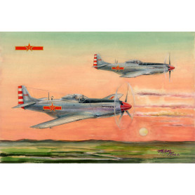 P-51D/K Mustang Chasseur de la PLAAF - 1/48 - HOBBY BOSS 85807