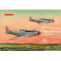 P-51D/K Mustang Chasseur de la PLAAF - 1/48 - HOBBY BOSS 85807