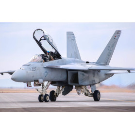 F/A-18F Super Hornet - 1/48 - HOBBY BOSS 85813