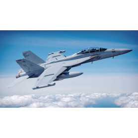 EA-18G Growler - 1/48 - HOBBY BOSS 85814