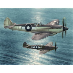 Seafire Mk.XV « Far East Service » - 1/48 - SPECIAL HOBBY 100-SH48116