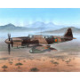 Fairey Firefly FR Mk.I Foreign Post War - 1/48 - SPECIAL HOBBY 100-SH48151