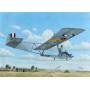 EoN Eton TX.1/SG-38 Over Western Europe - 1/48 - SPECIAL HOBBY 100-SH48198