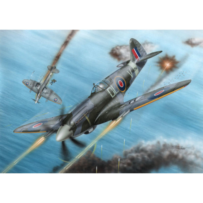 Spitfire F Mk.21 No.91 Sq. RAF WWII - 1/72 - SPECIAL HOBBY 100-SH72227