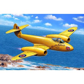 Gloster Meteor Mk.4 « World Speed Record » - 1/72 - SPECIAL HOBBY 100-SH72361