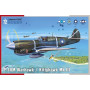 P-40M Warhawk / Kittyhawk Mk.III - 1/72 - SPECIAL HOBBY 100-SH72382