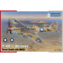 P-40F/L Warhawk « Desert Hawks with Merlin » - 1/72 - SPECIAL HOBBY 100-SH72493