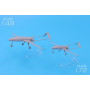 Drone de frappe An-196 Liutyi - 1/48 - MODELSVIT 4825