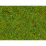 Pot de flocage herbes de printemps 2.5mm 120g - toutes échelles - NOCH 08150