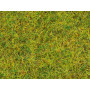 Pot de flocage herbes d'été 2.5mm 120g - toutes échelles - NOCH 08151