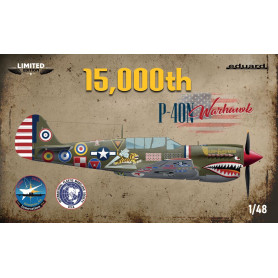 P-40N Warhawk Édition Limitée - 1/48 - EDUARD 11193