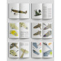 Bataille d'Angleterre Spitfire Mk.I - 1/48 - EDUARD 11197