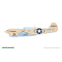 P-40N Warhawk - 1/48 - EDUARD 84210