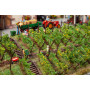 Cave viticole - HO 1/87 - FALLER 130611