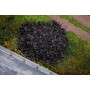 Flocage Charbon 650 g - HO 1/87 - FALLER 170301