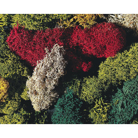 Lichen couleurs assorties 80g - HO 1/87 - FALLER 170730