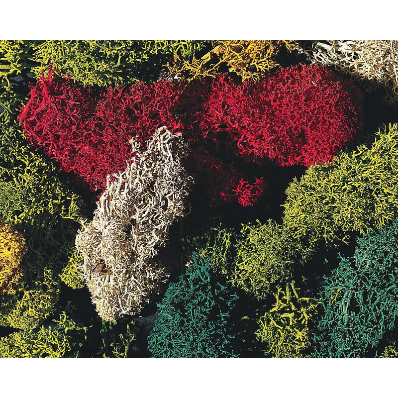 Lichen couleurs assorties 80g - HO 1/87 - FALLER 170730