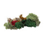 Lichen couleurs assorties 80g - HO 1/87 - FALLER 170730