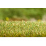 Appareil d'enherbage "Gras-Fix" - HO 1/87 - FALLER 180691