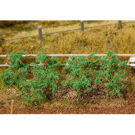 18 plants de tomates - HO 1/87 - FALLER 181259
