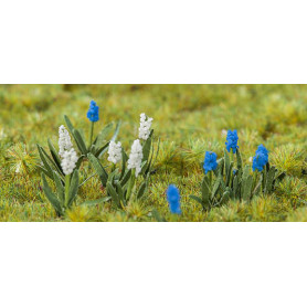 32 Jacinthes en grappe - FALLER 181265