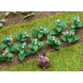 Plants de tabac (x14) - HO 1/87 - FALLER 181275