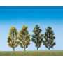 2 Bouleaux + 2 Peupliers - HO 1/87 - FALLER 181405
