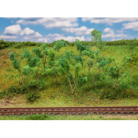 Arbres et arbustes en bordure de forêt 75 mm à 90 - HO 1/87 - FALLER 181409