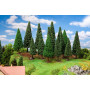 Sapins 90 et 150 mm (15 pièces) - HO 1/87 - FALLER 181542