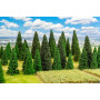 100 Sapins, assortis - FALLER 181543