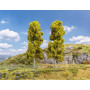 2x Bouleaux 180 mm - HO 1/87 - FALLER 181574