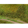 Feuillage de touffes vert été - HO 1/87 - FALLER 181618
