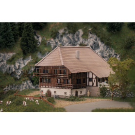 Ferme forêt noire - Z 1/220 - FALLER 282784