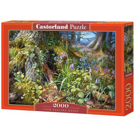 From Rusland Woods - Puzzle 2000 pièces - CASTORLAND