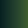Peinture acrylique Xpress Color Armor Green 18ml - VALLEJO 72466