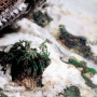 Weathering FX : Neige 40ml - VALLEJO 73820