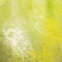 Weathering FX : crasse limoneuse claire 40ml - VALLEJO 73823