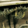 Weathering FX : herbe écrasée 40ml - VALLEJO 73825