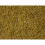 Pot de flocage herbes sauvages beige 6mm 100g - toutes échelles - NOCH 07091