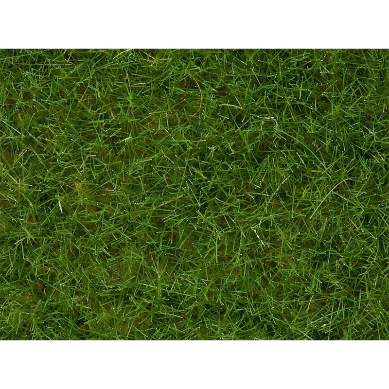 Noch – Herbes Sauvages Vert Foncé – 6 Mm – Pot 100 G – Modélisme Ferroviaire Et Dioramas – Dès 14 Ans