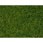 Pot de flocage herbes sauvages vert clair 6mm 100g - toutes échelles - NOCH 07092