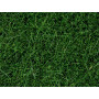 Pot de flocage herbes sauvages vert foncé 6mm 100g - toutes échelles - NOCH 07094