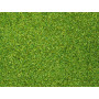 Flocage vert clair 42g - toutes échelles - NOCH 08410