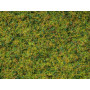Mélange d'herbe pâturage 2,5 - 6 mm 50g - toutes échelles - NOCH 07073