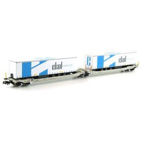 Porte remorques Twin-Car Sdggmrs AAE EKOL ép. V-VI - N 1/160 - REE NW-180