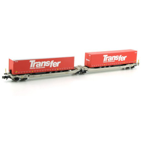 Porte remorques Twin-Car Sdggmrs AAE TRANSFER ép. V-VI - N 1/160 - REE NW-185