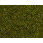 Herbe sauvage prairie 6 mm 50g - toutes échelles - NOCH 07100